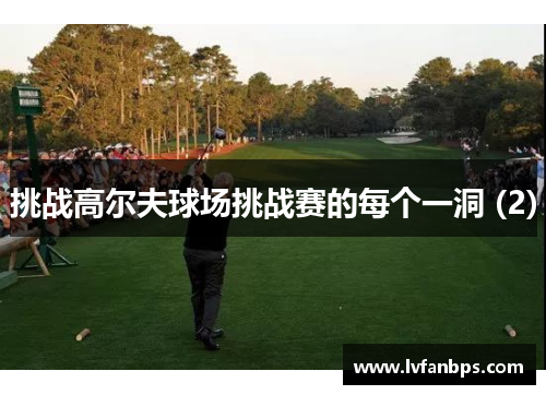 挑战高尔夫球场挑战赛的每个一洞 (2)